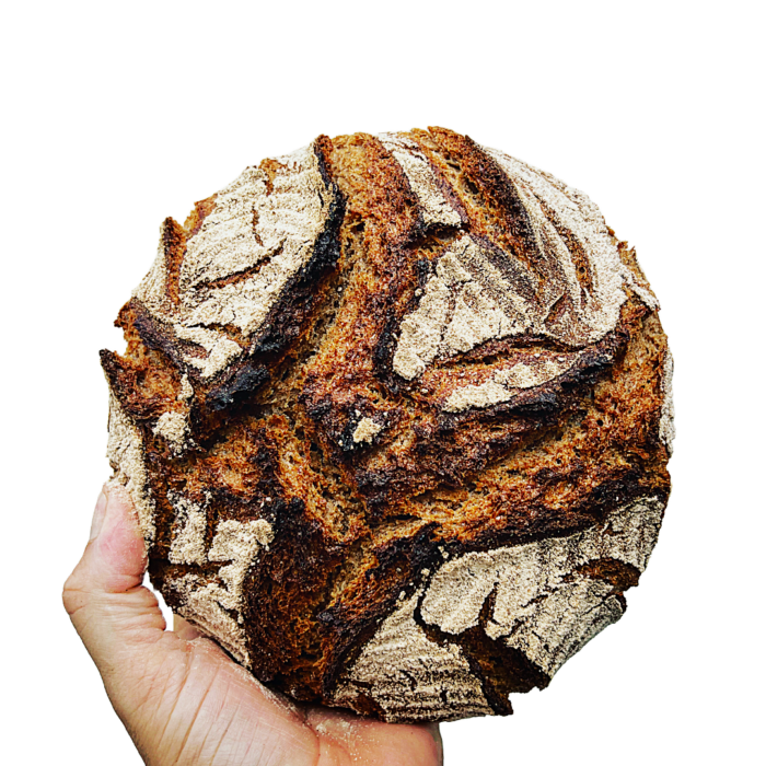 Eine Hand präsentiert stolz einen runden Laib rustikales, knuspriges BIO SYLTER LICHTKORNROGGEN Brot vor einem makellos weißen Hintergrund.
