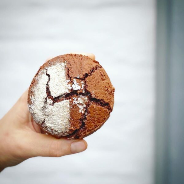 sylter_Lichtkornroggen_cookie Eine Hand, die einen geknackten SYLTER LICHTKORNROGGEN - SCHOKOCOOKIE Crinkle hält, bestäubt mit Puderzucker, präsentiert eine köstliche Leckerei.